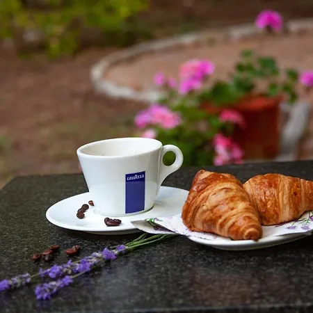 Adis Hotel Nisipurile de Aur