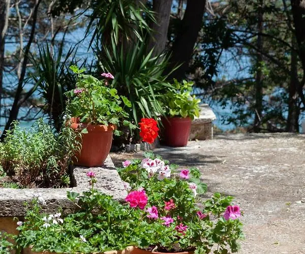 فندق Adis غولدن ساندز