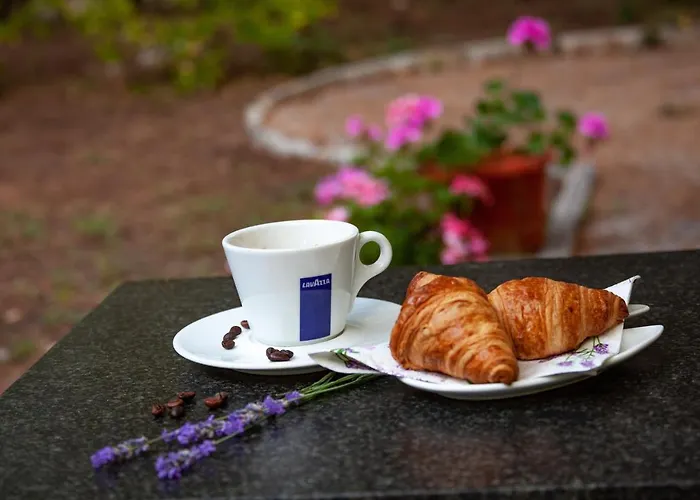 Adis فندق غولدن ساندز